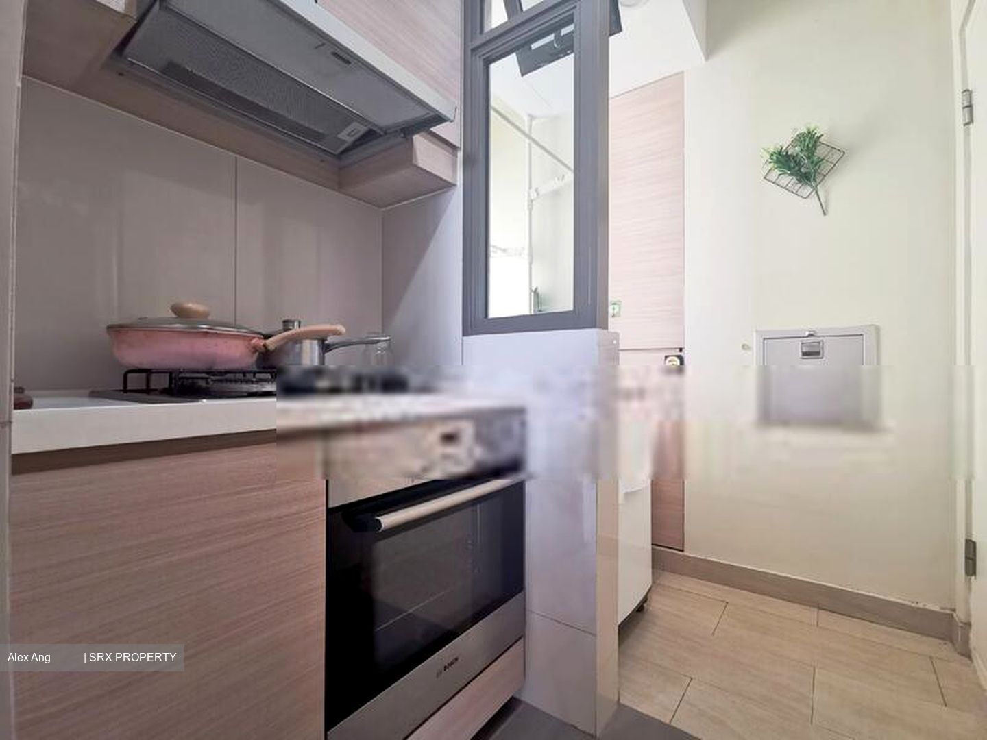 Parc Vera (D19), Condominium #408102611